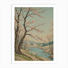 Cherry Blossoms no1 Art Print