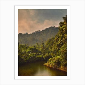 Tanjung Puting National Park Indonesia Vintage Poster Art Print