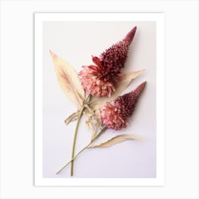 Pressed Flower Botanical Art Celosia 2 Art Print