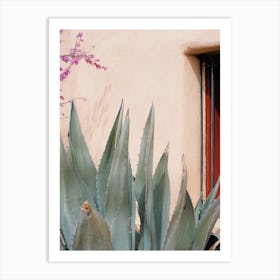 Agave Plant Art Print