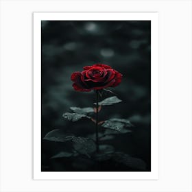 Dark Rose 79 Art Print