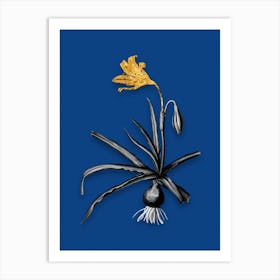 Vintage Amaryllis Broussonetii Black and White Gold Leaf Floral Art on Midnight Blue n.0633 Art Print