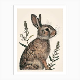 Blanc De Hotot Blockprint Rabbit Illustration 7 Art Print