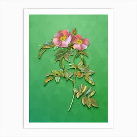 Vintage Shining Rosa Lucida Botanical Art on Classic Green Art Print
