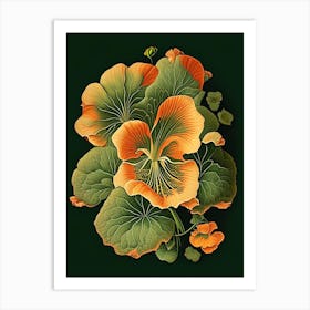 Nasturtium Floral 1 Botanical Vintage Poster Flower Art Print