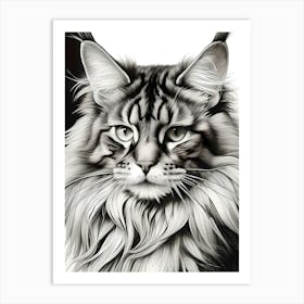 Black And White Painting Of A Maine Coon Cat Art Print