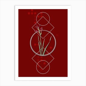 Vintage Gladiolus Cunonius Botanical with Geometric Line Motif and Dot Pattern n.0393 Art Print