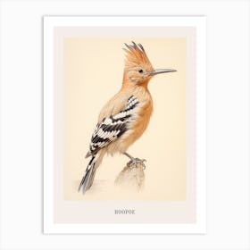 Vintage Bird Drawing Hoopoe 1 Poster Art Print