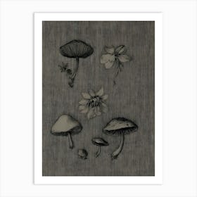 Dark Gothic Fungi And Flowers Art Print