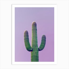 Saguaro Art Print