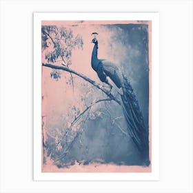 Peacock In The Tree Cyanotype Inspired 3 Art Print