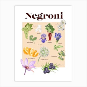 Negroni Cocktail Art Print