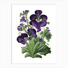 Violets Wildflower Vintage Botanical 1 Art Print