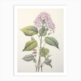 Ajisai Hydrangea Vintage Japanese Botanical Art Print