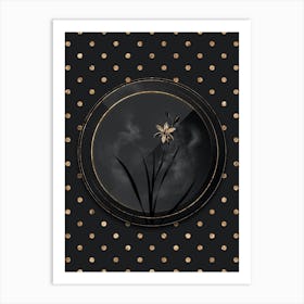 Shadowy Vintage Ixia Anemonae Flora Botanical in Black and Gold Art Print