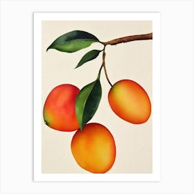 Mango 1 Watercolour Fruit Painting Fruit Art Print