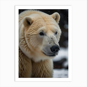 Polar Bear 3 Art Print