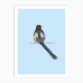 Magpie Light Blue Art Print