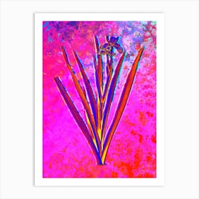 Stinking Iris Botanical in Acid Neon Pink Green and Blue n.0237 Art Print