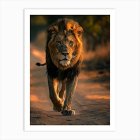 Lion Walking Art Print