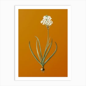 Vintage Arabian Starflower Botanical on Sunset Orange n.0554 Art Print