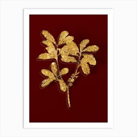 Vintage Northern Bayberry Botanical in Gold on Red n.0257 Art Print