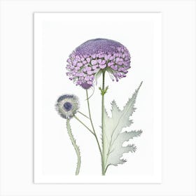 Scabiosa Floral Quentin Blake Inspired Illustration 2 Flower Art Print