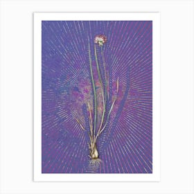 Vintage Allium Foliosum Botanical Illustration on Veri Peri Art Print