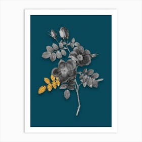 Vintage Austrian Briar Rose Black and White Gold Leaf Floral Art on Teal Blue n.0271 Art Print