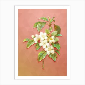 Vintage Apple Blossom Botanical Art on Peach Pink Art Print