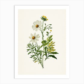 Vintage Botanical Galleria Style Wildflower Painting 42 Art Print