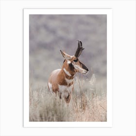 Stormy Day Antelope Art Print