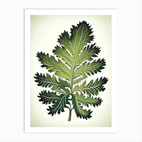 Tansy Leaf Vintage Botanical 1 Art Print