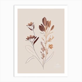 Chicory Spices And Herbs Retro Minimal 1 Art Print