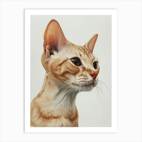 Oriental Shorthair Cat Painting 1 Art Print