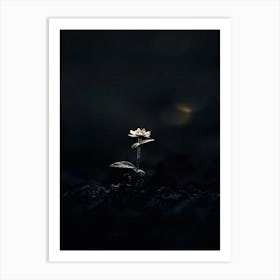 Single Flower In The Dark 55 Art Print