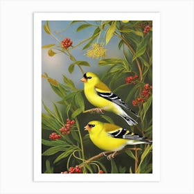 American Goldfinch Haeckel Style Vintage Illustration Bird Art Print