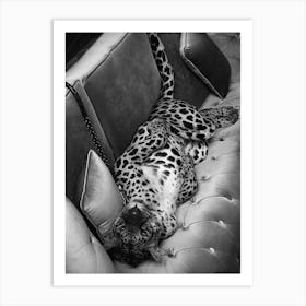 Panther On The Sofa Black And White Art Print