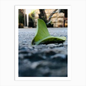 Leaf On The Ground Art Print