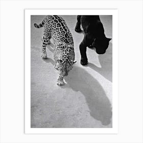 Cheetah And Jaguar Walking Art Print