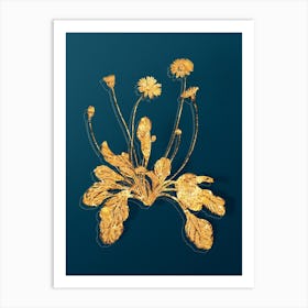 Vintage Daisy Flowers Botanical in Gold on Teal Blue Art Print