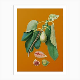Vintage Monaco Fig Botanical on Sunset Orange n.0369 Art Print