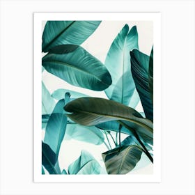 Tropical Leaves 84 Art Print