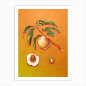 Vintage White Speckled Peach Botanical Art on Tangelo n.0227 Art Print