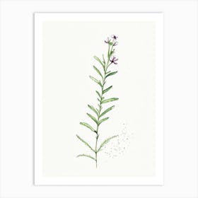 Eyebright Herb Minimalist Watercolour Art Print