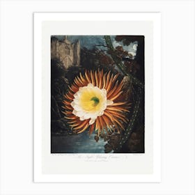 Vintage Botanical Temple Of Flora _2476836 Art Print