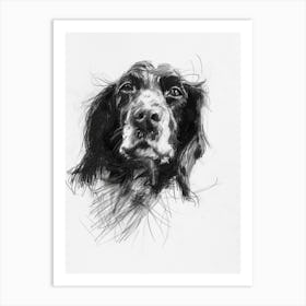 English Springer Spaniel Dog Charcoal Line 1 Art Print