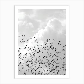 Flock Of Birds Art Print