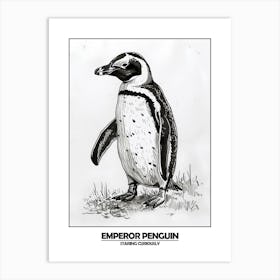 Penguin Staring Curiously Poster 5 Art Print