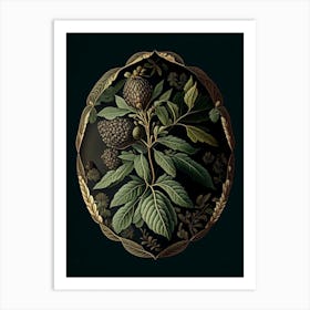 Black Walnut Herb Vintage Botanical Art Print